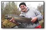 upper rogue coho salmon